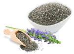 Chia Plant with Seeds for Chia Seed Oil