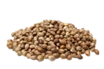 Hemp Seeds are High in Amino Acids -contains all 9 of the essential amino acids that our bodies cannot produce on their own