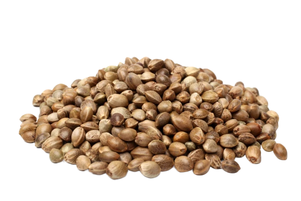 Hemp Seeds are High in Amino Acids -contains all 9 of the essential amino acids that our bodies cannot produce on their own